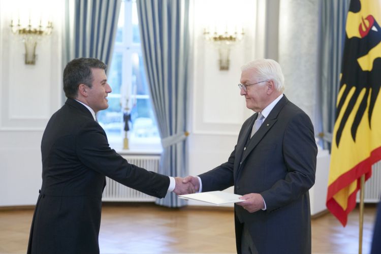 Посол Азербайджана вручил верительные грамоты президенту Германии
