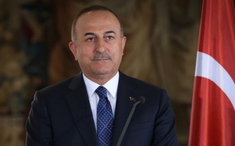 Чавушоглу: Армянская диаспора во Франции против нормализации отношений с Азербайджаном