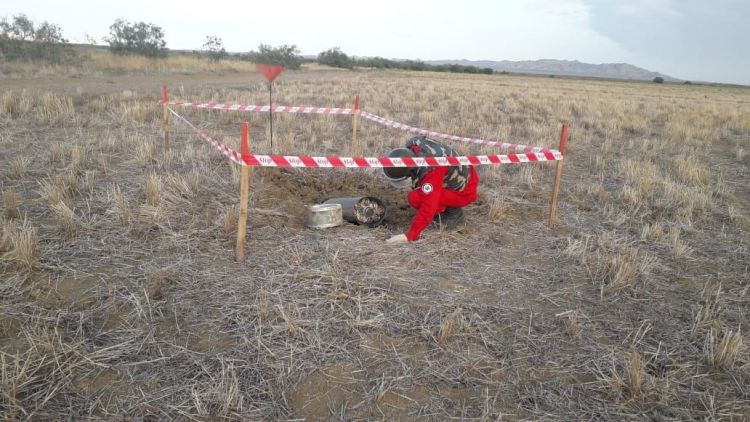 На освобожденных территориях обнаружены еще 144 мины ANAMA