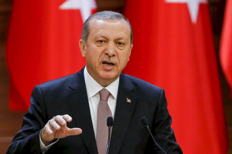 Рассматривается вопрос визита Эрдогана в Грузию