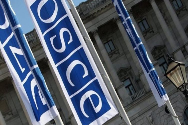 Азербайджан не будет рассматривать проект бюджета ОБСЕ на следующий год