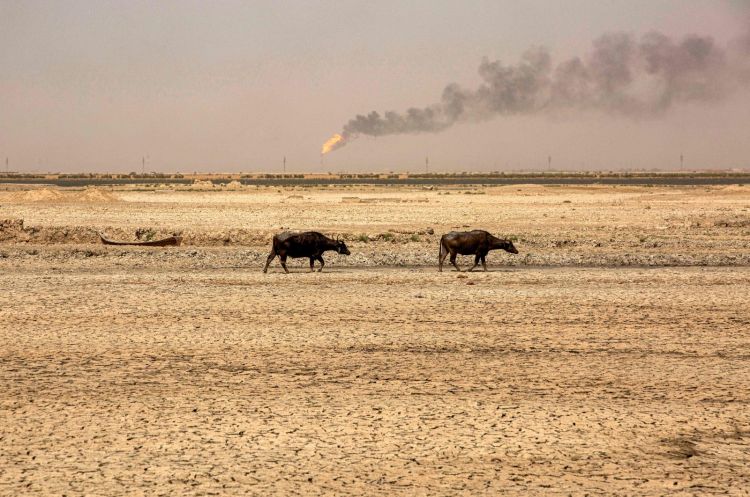 Climate displacement threatens millions in Middle East