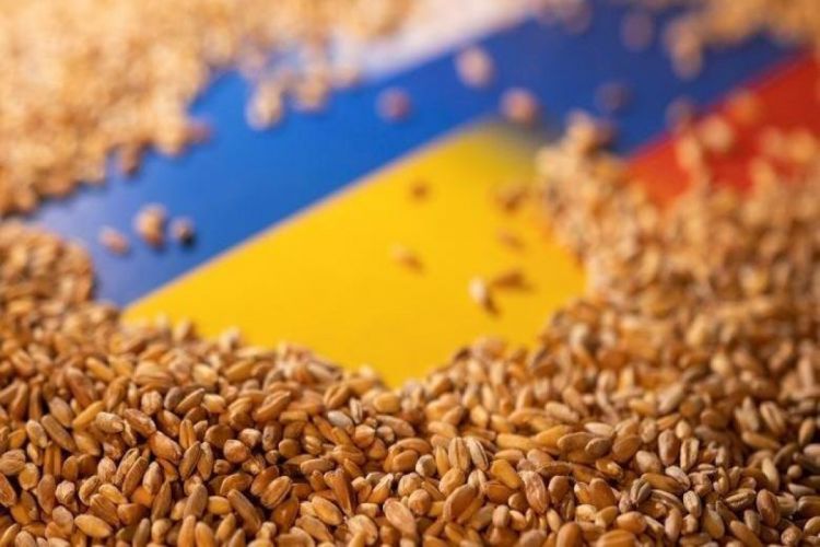 Турция прокомментировала выход России из «зернового соглашения»