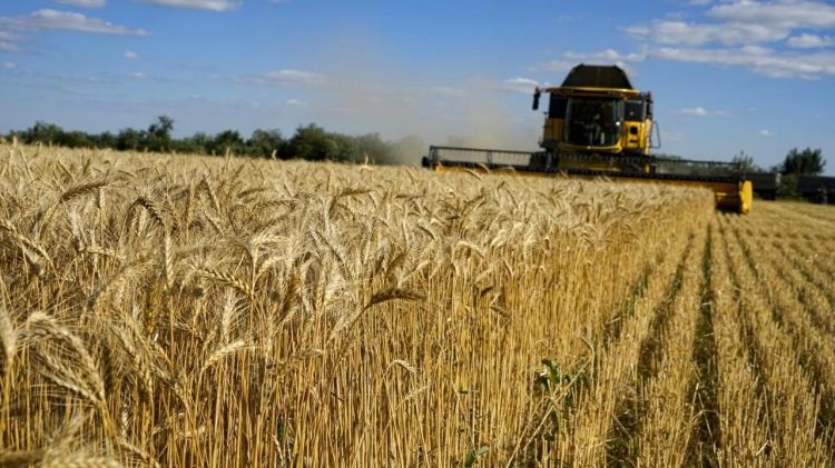 باريس تسعى لإيجاد طريق بري لمحاصيل أوكرانيا بعد انسحاب روسيا من اتفاق البحر الأسود