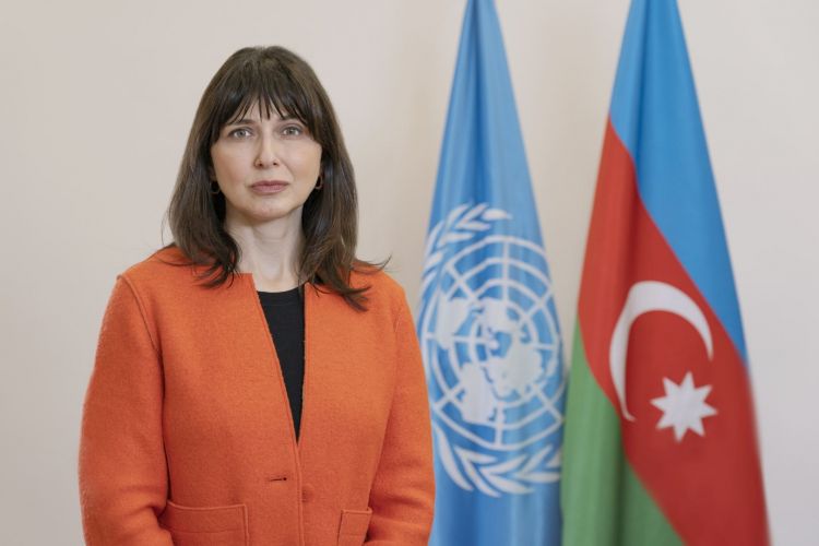 ООН готова содействовать Азербайджану в создании  зоны "чистых нулевых выбросов"