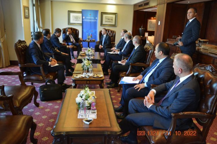 Azerbaijan discusses co-op prospects with OTS officials & health ministers in Turkiye