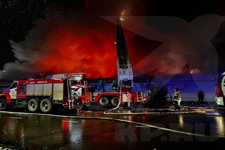 Владельцем кафе в России, в котором при пожаре погибли 15 человек, является азербайджанец