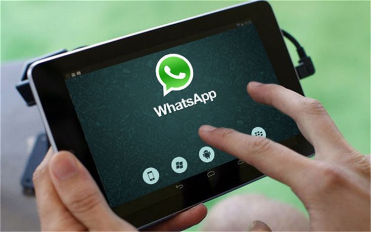 "WhatsApp"-da planşetlər üçün yeni FUNKSİYA