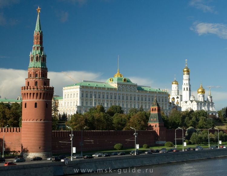 В Кремле объяснили причину решения Путина не участвовать в саммите G20