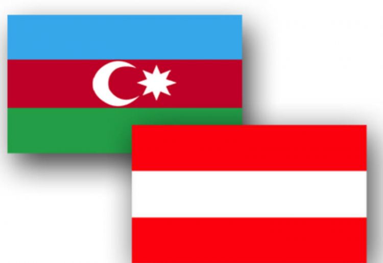 Австрия рассматривает реализацию проектов в ряде сфер в Азербайджане МИД