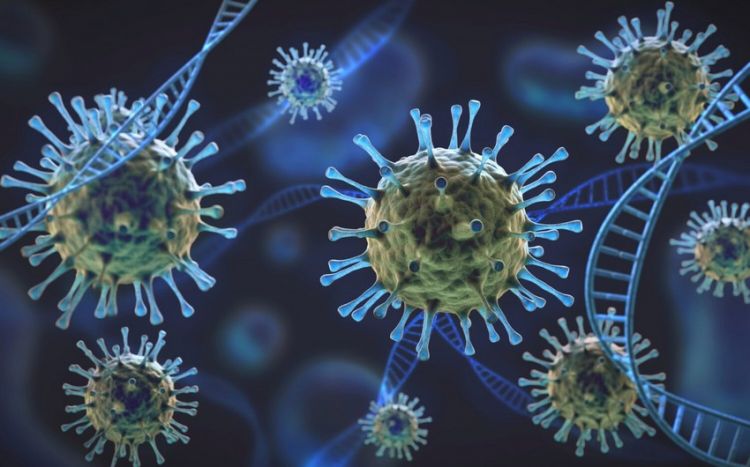 Ученые нашли способ борьбы с ДНК-вирусами