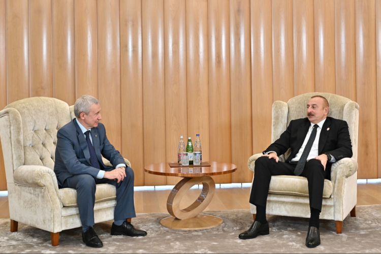 Президент Азербайджана принял члена Бюро Высшего Совета партии «Единая Россия»