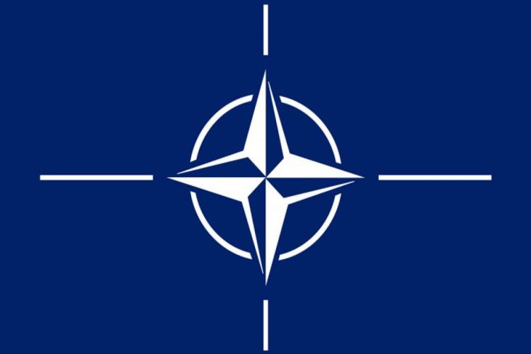 Делегация Азербайджана участвует в сессии ПА НАТО