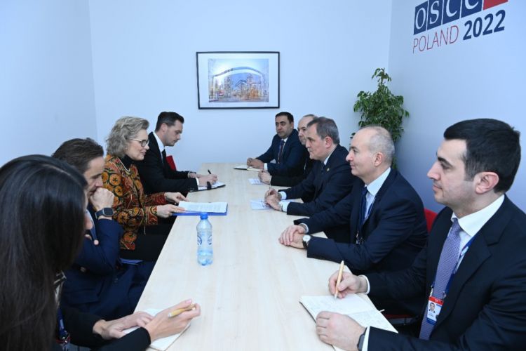 Azerbaijan will continue its efforts for signing peace agreement FM