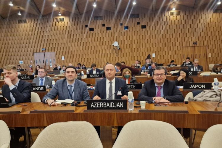 Азербайджан избран заместителем председателя комитета ЮНЕСКО