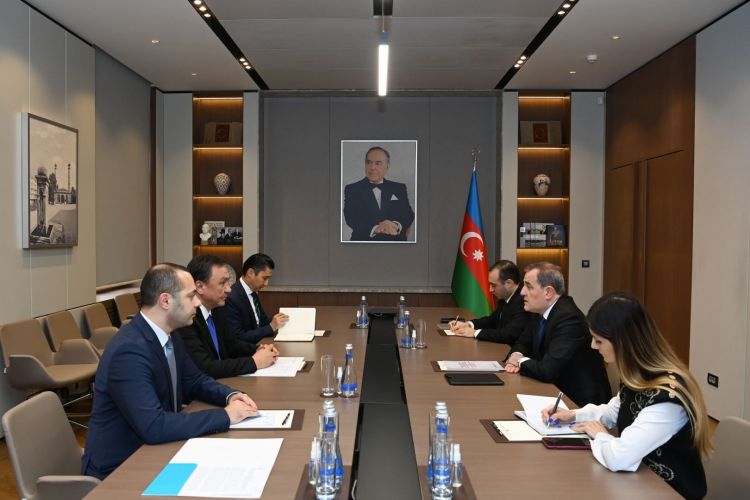 Azerbaijani foreign minister, pan-Turkic agency chief mull bolstering relations