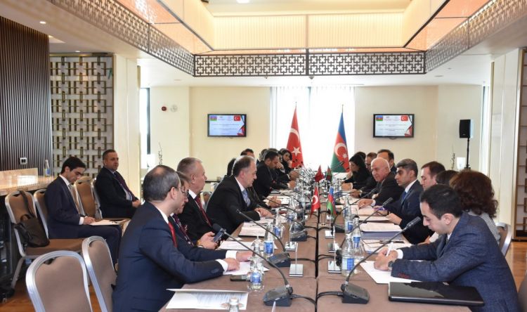Азербайджан и Турция могут сотрудничать в сфере возвращения похищенных произведений