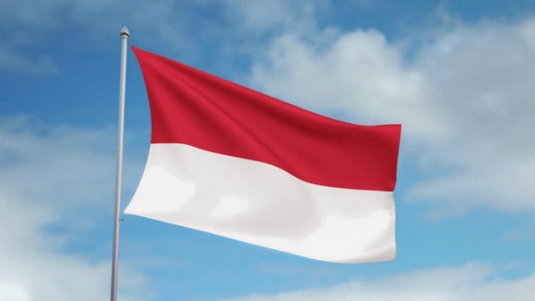 إندونيسيا تحظر إنتاج مواد نووية لغير الأغراض السلمية