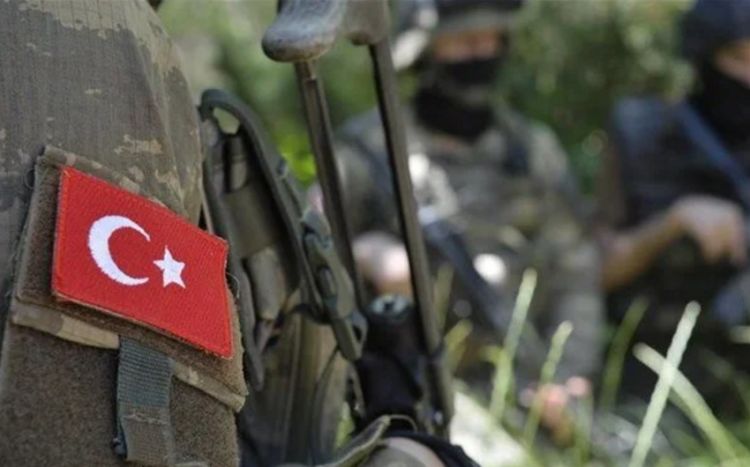 Türkiyədə daha 5 PKK terrorçusu zərərsizləşdirildi