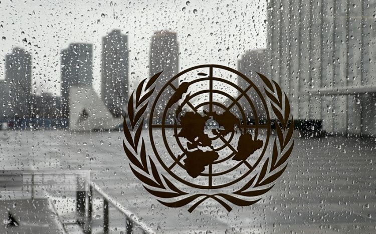 В ООН раскритиковали запрет женщинам Афганистана работать в НПО