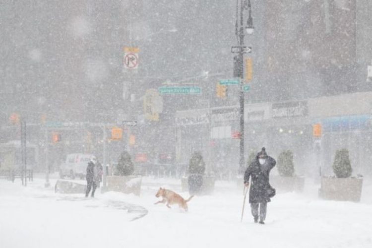 Общее число жертв снежных бурь в США и Канаде выросло до 50 человек
