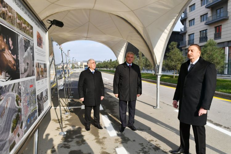 В Центральном парковом квартале Белого города Баку завершилось строительство ряда инфраструктурных объектов, Президент ознакомился с проделанной работой