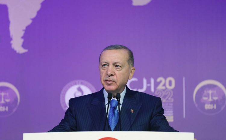 Эрдоган: Мир восторженно наблюдает за успехами турецких БПЛА