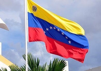 تصويت للمعارضة يطيح بجويدو من منصب رئيس فنزويلا الانتقالي
