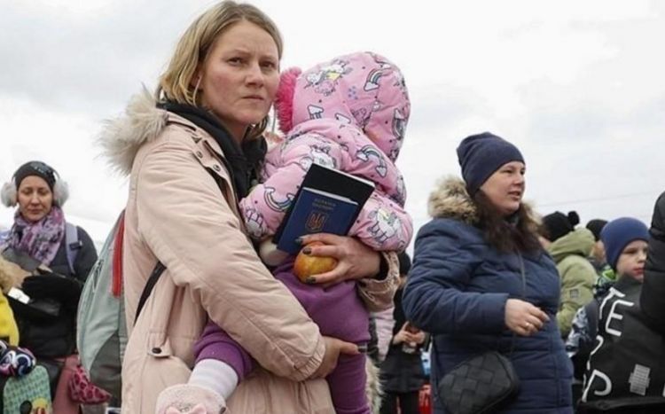 ООН: В Европу с 24 февраля прибыли более 7,91 млн беженцев из Украины