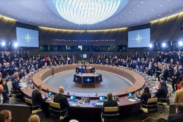 Министры обороны НАТО встретятся 20 января по Украине
