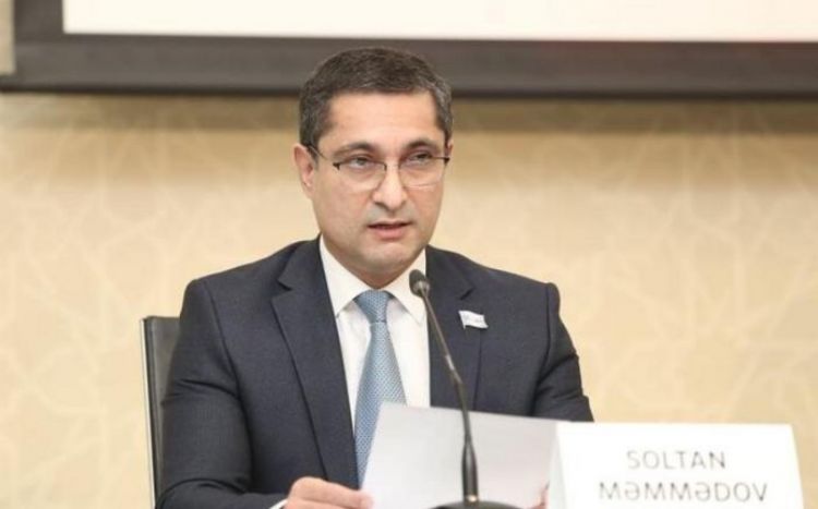 Солтан Мамедов: Франция недооценивает возможности Азербайджана