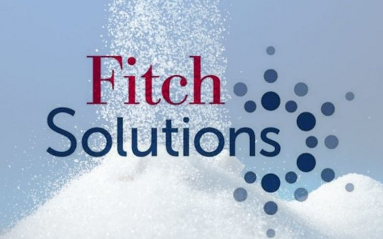 Fitch Solutions назвал основные источники инвестиций в Азербайджан в 2023 году
