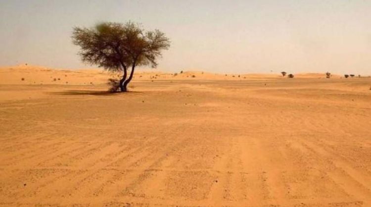 الجزائر تسعى لتشجيع السياحة الصحراوية