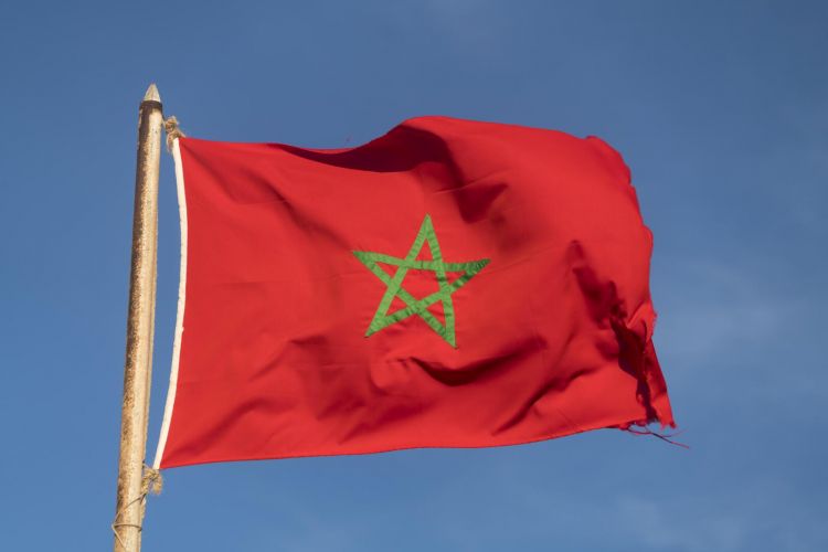 المغرب يعتزم بيع 1.7 مليون طن من الأسمدة إلى الهند في 2023
