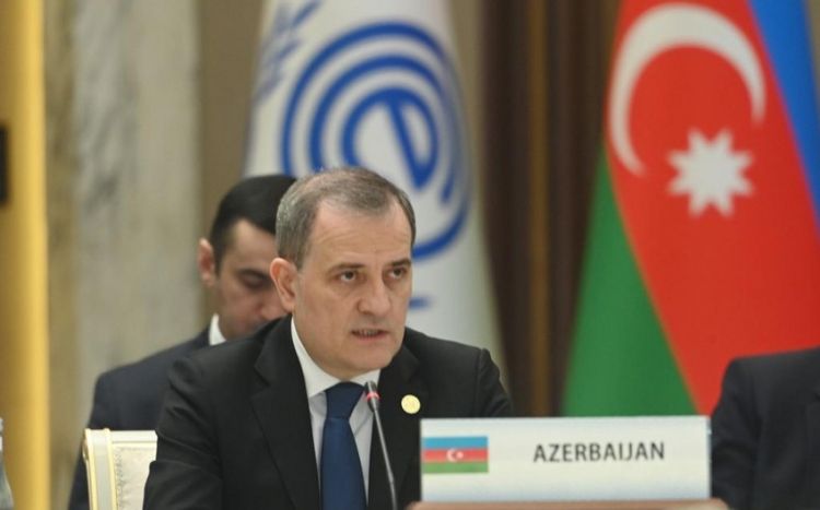 Глава МИД Азербайджана выступил на заседании ОЭС