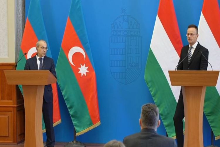 Четыре страны просят ЕК обеспечить поставки азербайджанского газа в Европу