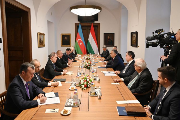 Президент: Надеемся увидеть участие венгерских компаний в восстановлении Карабаха