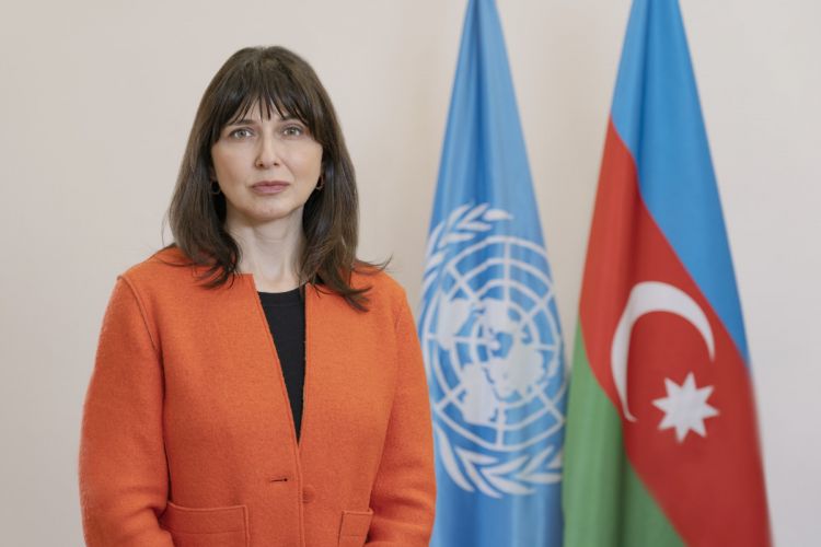 ООН поддерживает развитие сельского хозяйства в Азербайджане Владанка Андреева