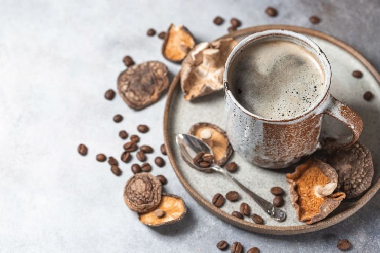 6 Best Mushroom Coffee Alternatives in 2023