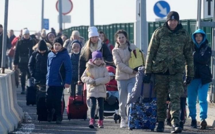 ООН: В Европе остаются около 4 млн 823 тысяч украинских беженцев
