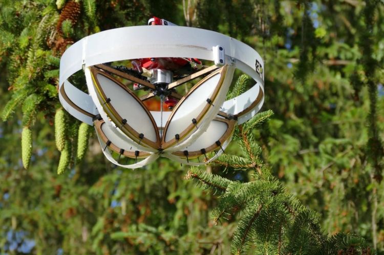 Drone designed to collect DNA on tall tree branches has a surprising style to increase Biodiversity