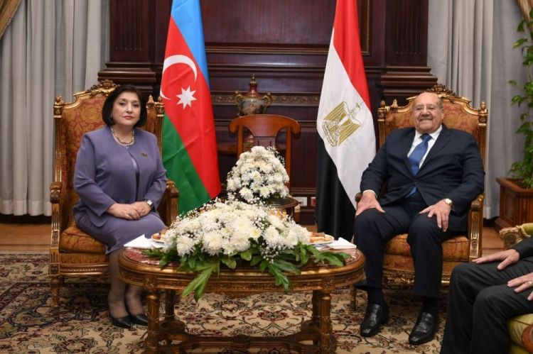 رئيس مجلس الشيوخ المصري يستقبل رئيسة المجلس الوطني لجمهورية أذربيجان