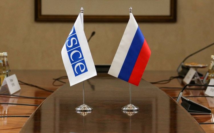 США считают, что Россия не должна состоять в ОБСЕ