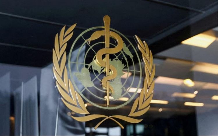 В ВОЗ заявили о высоком риске распространения холеры в мире