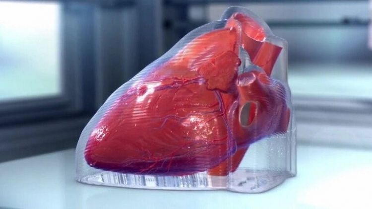 اليابان تعلن عزمها إجراء أول تجربة لعلاج مرض فشل القلب باستخدام الخلايا الجذعية