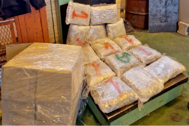 Serbia’s police seize 250 kg of marijuana, arrest 2