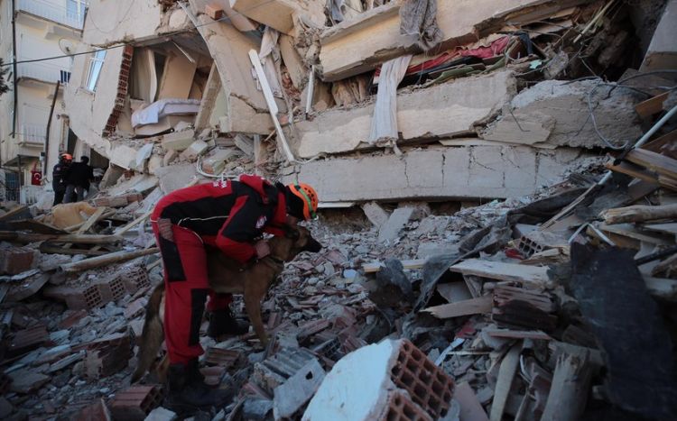 В Турции назвали регионы, где после землетрясений завершены поисково-спасательные операции