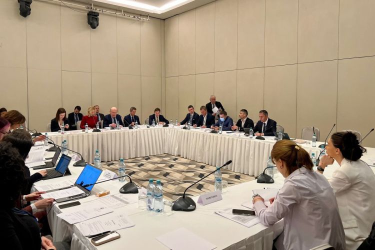 На заседании Бюро ПА «Евронест» была отклонена резолюция, поддержанная Арменией