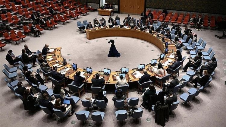 بقيادة الإمارات.. مجلس الأمن يؤكد التزامه بحل الدولتين