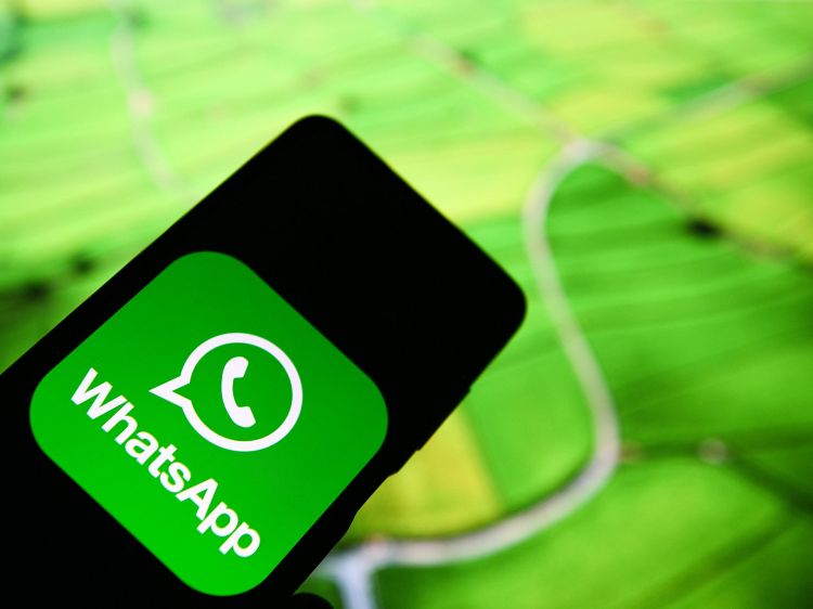 WhatsApp работает над внедрением новостных рассылок